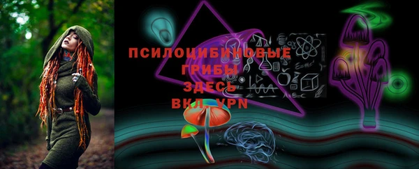 бошки Новодвинск