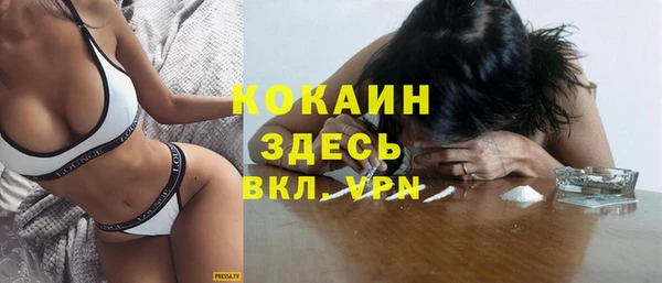 бошки Новодвинск
