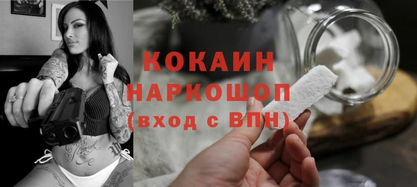 бошки Новодвинск