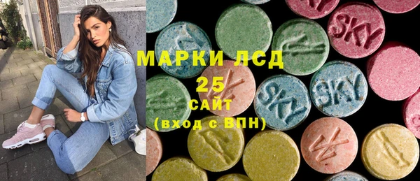 PSILOCYBIN Новозыбков