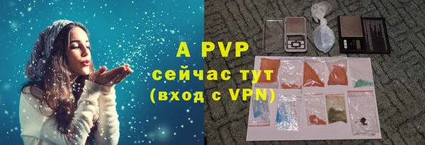 бошки Новодвинск