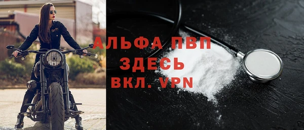 PSILOCYBIN Новозыбков
