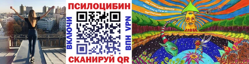 Галлюциногенные грибы MAGIC MUSHROOMS  как найти   Троицк 